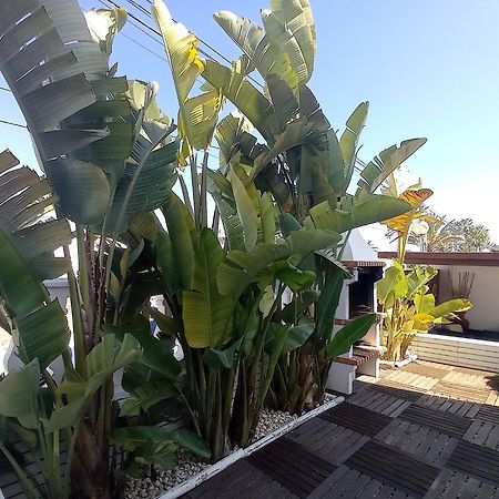 Villa Juncos Can Furnet Zewnętrze zdjęcie